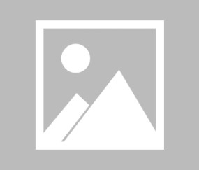 宝盈-热血澎湃的意思